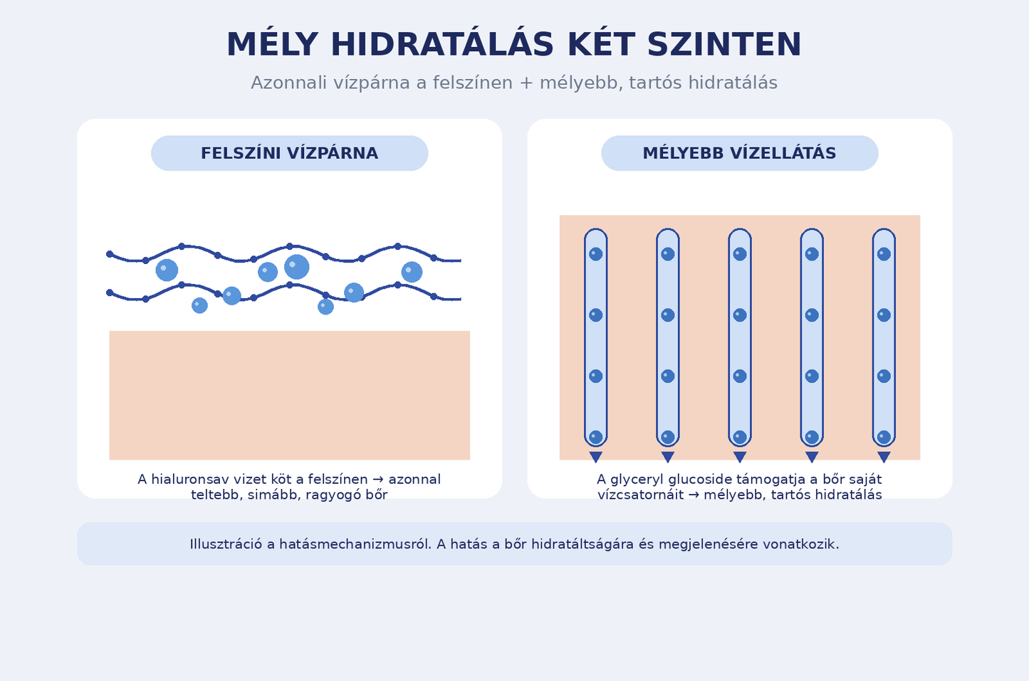 Mély hidratálás két szinten illusztráció – hialuronsav és glyceryl glucoside
