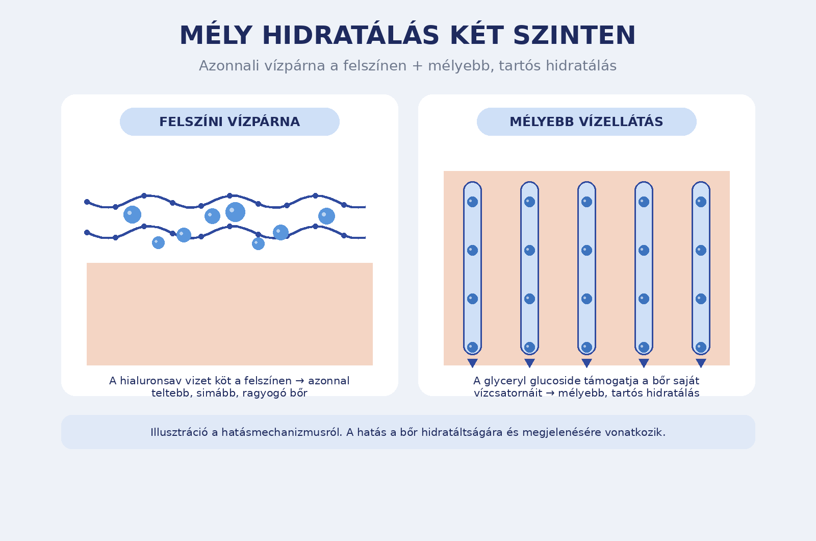 Mély hidratálás két szinten illusztráció – hialuronsav és glyceryl glucoside
